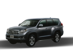Toyota Prado 2009 Window Sun Shades
