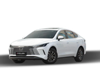 ستائر شمسية لنوافذ BYD Destroyer 5